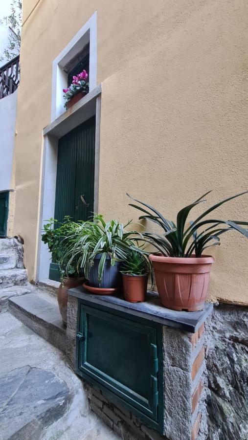 La Casa Di Ia Lägenhet Vernazza Exteriör bild